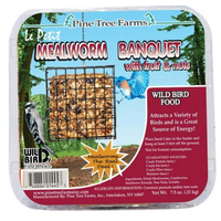 PTF Mealworm Banquet Fruit & Nut Cake