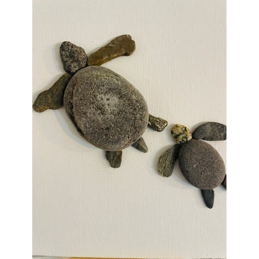 Pebbles and Paint 6x6 inch Sea Turtles
