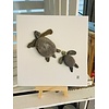 Pebbles and Paint 6x6 inch Sea Turtles