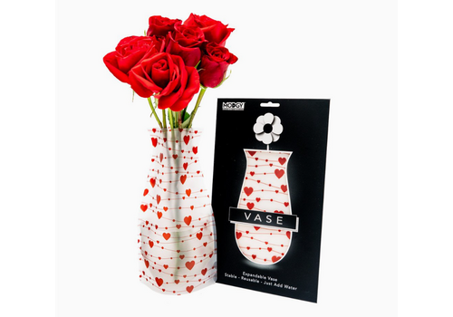  Modgy Expandable Vase Amor Valentine Hearts 