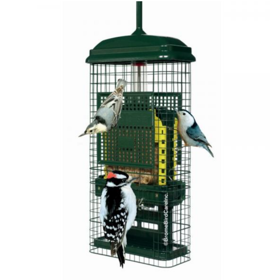 Squirrel Buster Suet Feeder