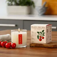 Plant the Box Candle Wild Tomato Vine