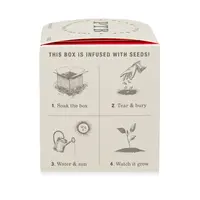 Plant the Box Candle Ripe Watermelon