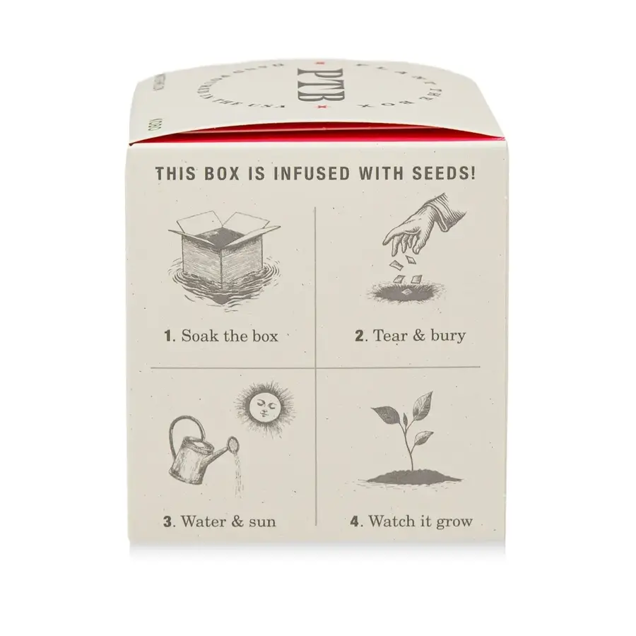 Plant the Box Candle Ripe Watermelon