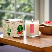 Plant the Box Candle Ripe Watermelon