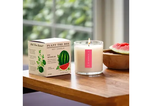  KOBO Plant the Box Candle Ripe Watermelon 