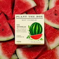 Plant the Box Candle Ripe Watermelon