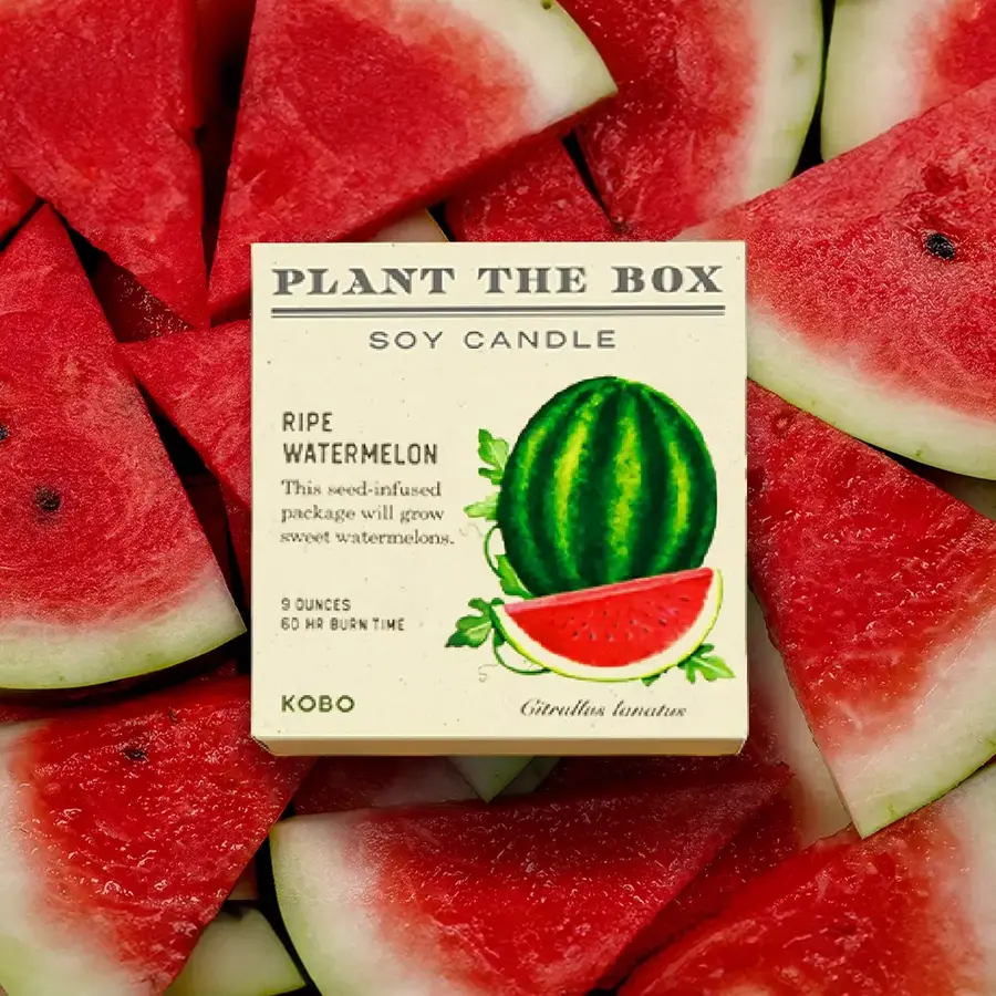 Plant the Box Candle Ripe Watermelon