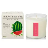 Plant the Box Candle Ripe Watermelon