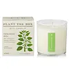 KOBO Plant the Box Candle Fresh Picked Basil