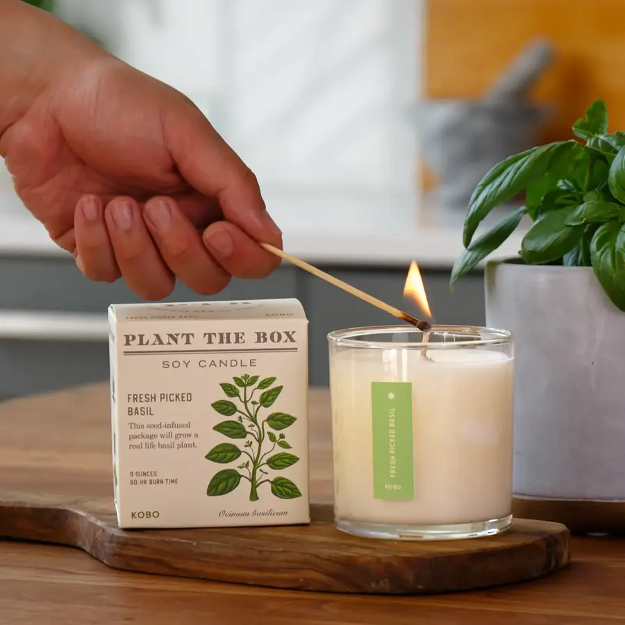 Plant the Box Candle Fresh Picked Basil