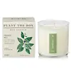 KOBO Plant the Box Candle Crushed Mint