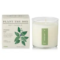 Plant the Box Candle Crushed Mint