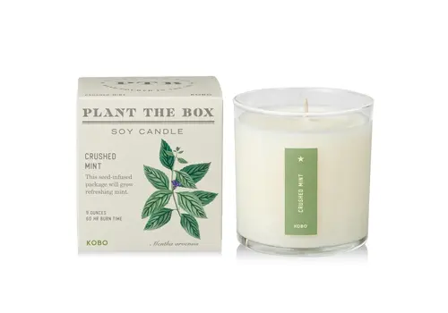  KOBO Plant the Box Candle Crushed Mint 