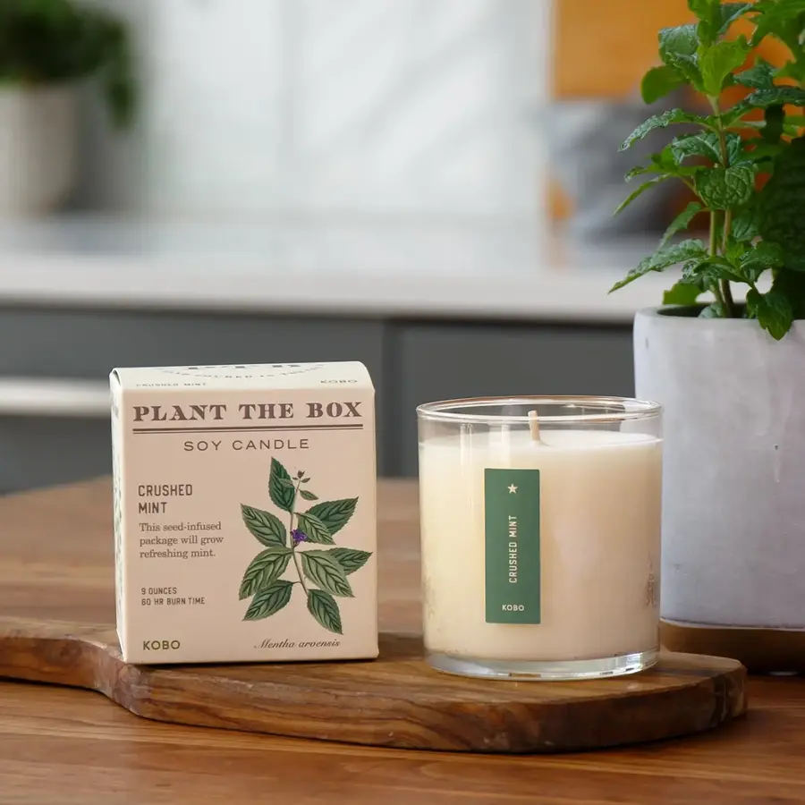 Plant the Box Candle Crushed Mint