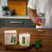 Plant the Box Candle Crushed Mint