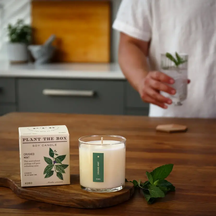 Plant the Box Candle Crushed Mint