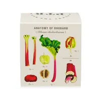 Plant the Box Candle Backyard Rhubarb