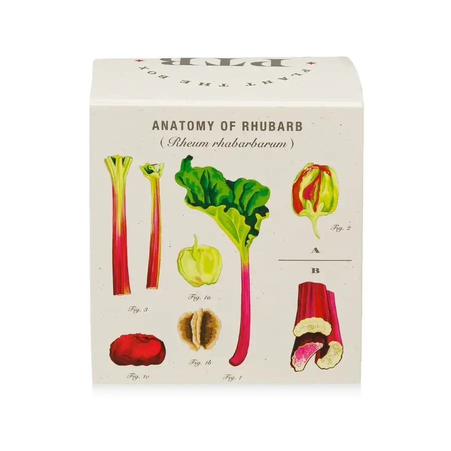 Plant the Box Candle Backyard Rhubarb