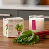 KOBO Plant the Box Candle Backyard Rhubarb