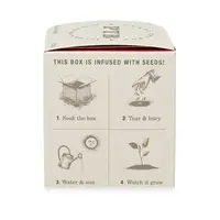 Plant the Box Candle Backyard Rhubarb