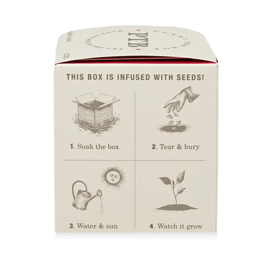 Plant the Box Candle Backyard Rhubarb