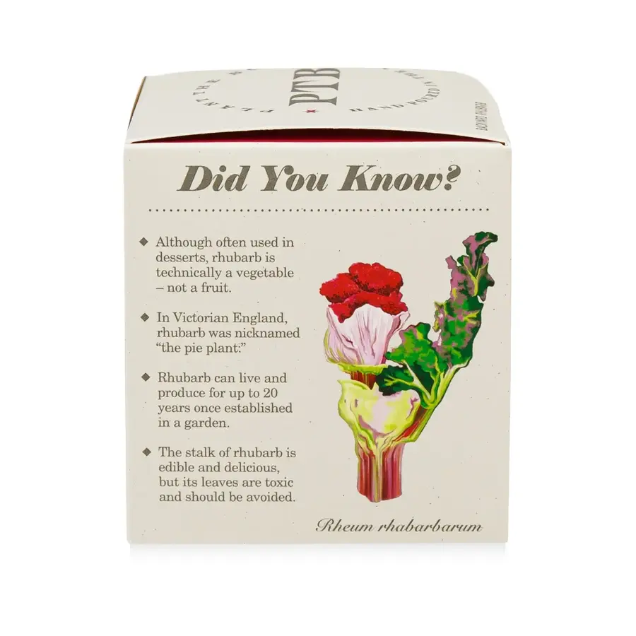 Plant the Box Candle Backyard Rhubarb