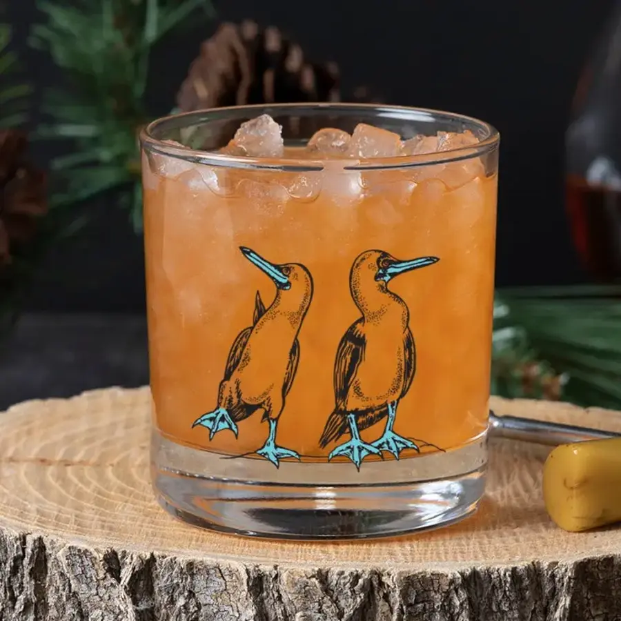 Blue Footed Booby Rocks Glass