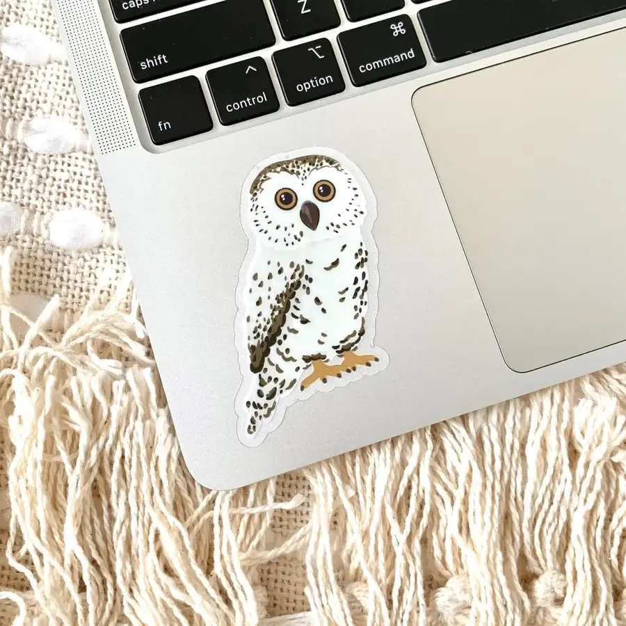 Clear Owl Sticker
