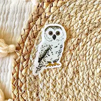 Clear Owl Sticker