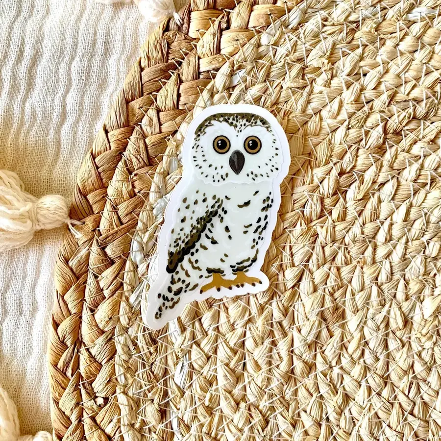 Clear Owl Sticker