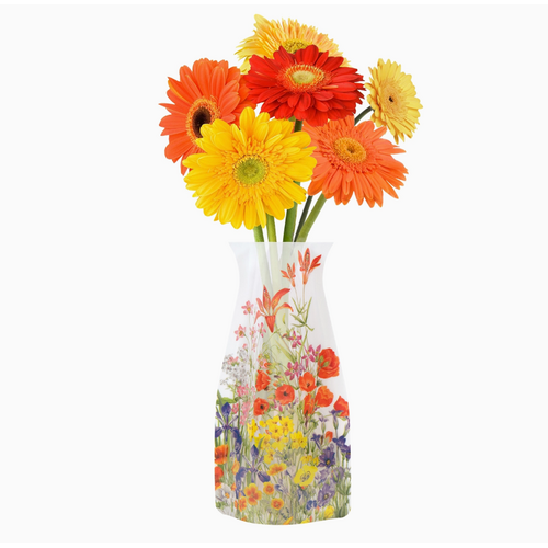  Modgy Expandable Vase Walcott Botanicals 