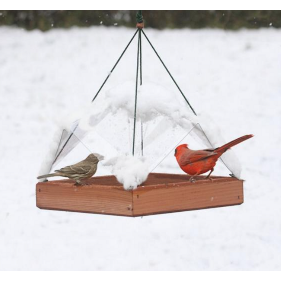 12x12 Clear Plastic Cover