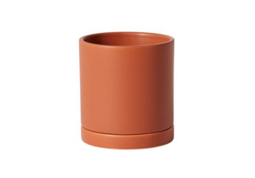  Accent Decor Romey Pot with Saucer 