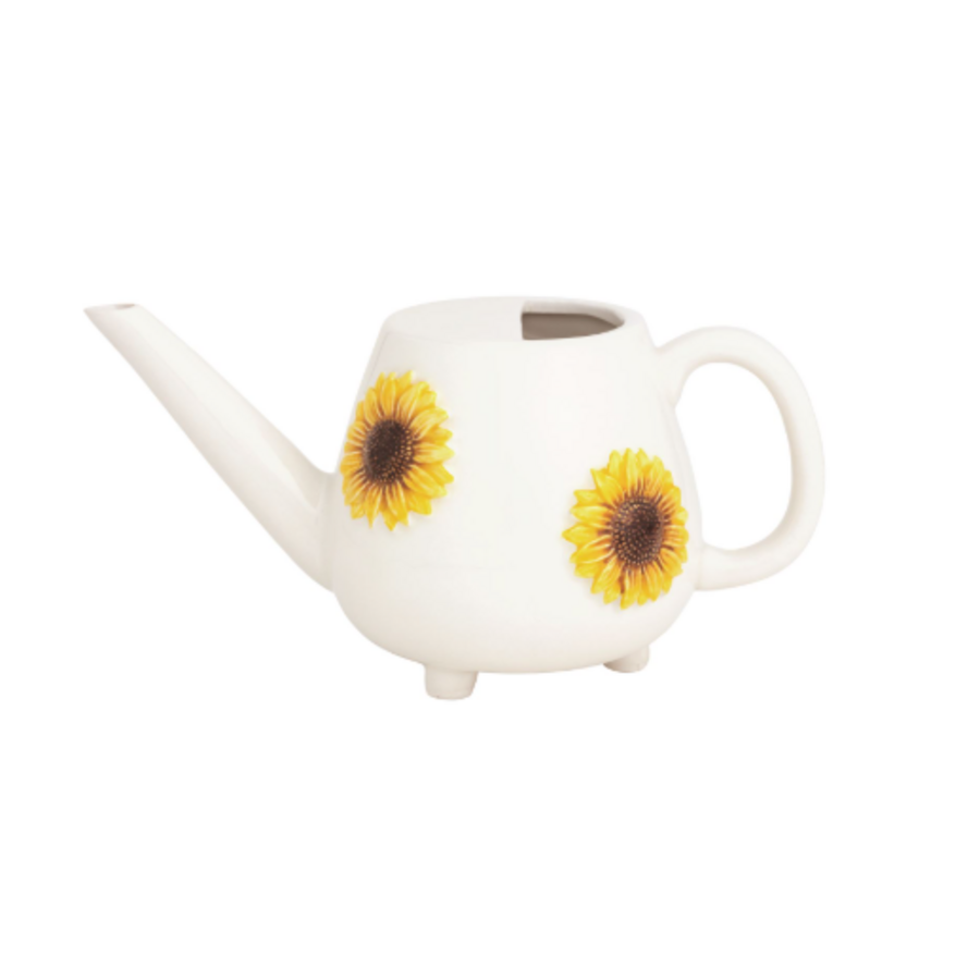 Ceramic Watering Can