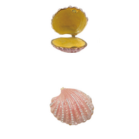 Shell Shaped Trinket Box with Jewels