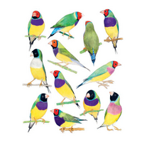 Bird Box: 100 Postcards by 10 Artists