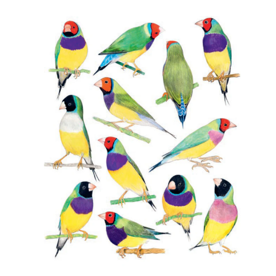 Bird Box: 100 Postcards by 10 Artists