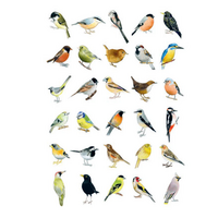 Bird Box: 100 Postcards by 10 Artists