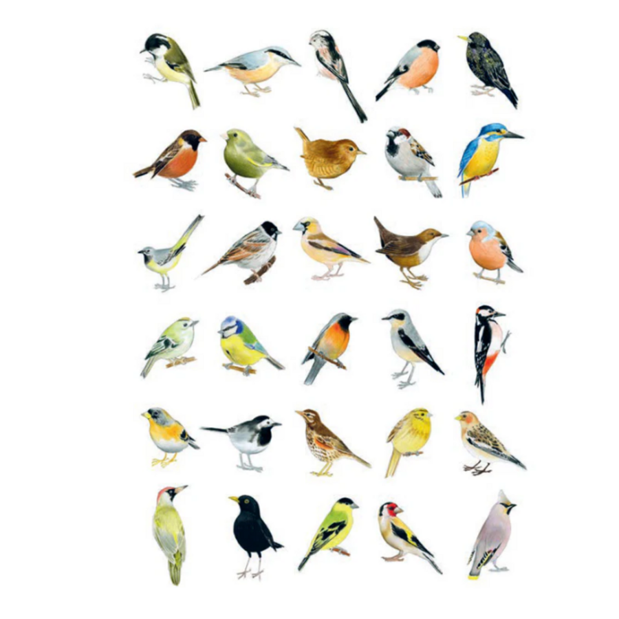 Bird Box: 100 Postcards by 10 Artists