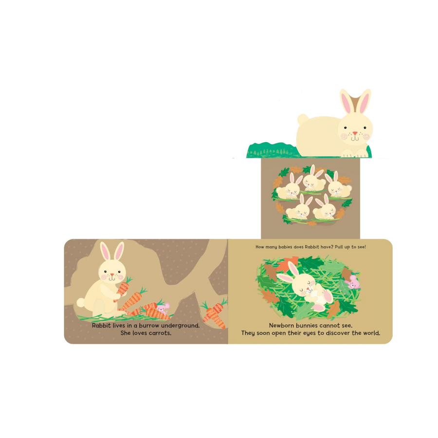 Woodland Babies: Fun for Little Fingers