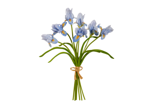  14" Real Touch Blue Iris Bundle 