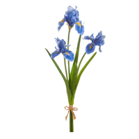 23" Real Touch Navy Iris Bundle
