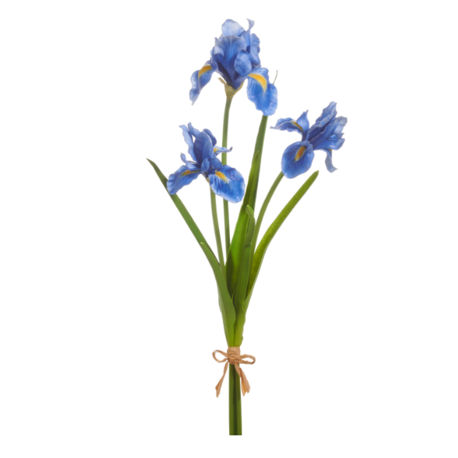 23" Real Touch Navy Iris Bundle