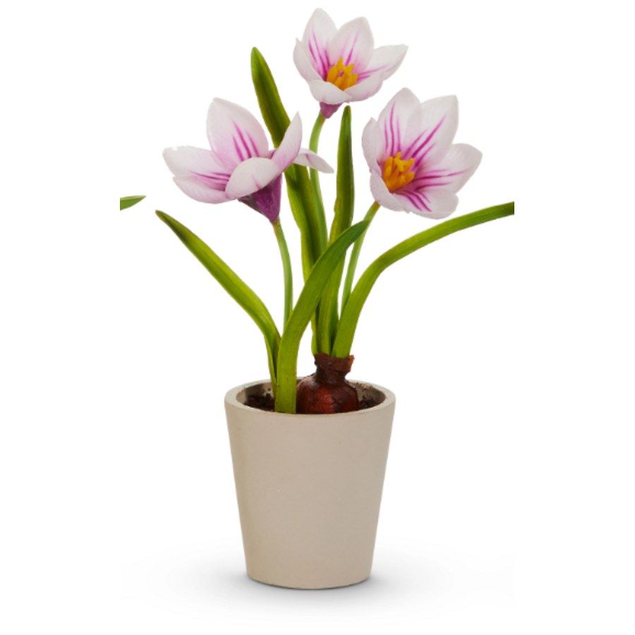 9.5" Real Touch Potted Crocus Bulb