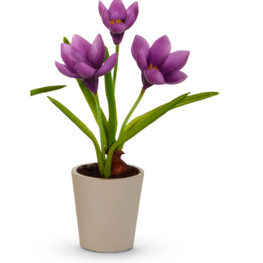 9.5" Real Touch Potted Crocus Bulb