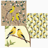 Buzzee Goldfinch Dual Sided Cloths Set of 3