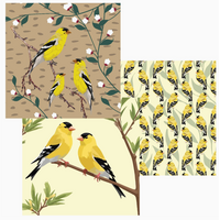 Goldfinch Dual Sided Cloths Set of 3