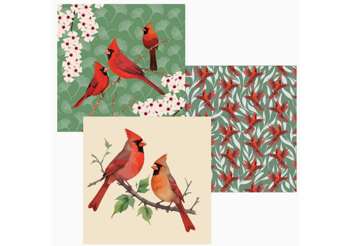  Buzzee Cardinal Dual Sided Cloths Set of 3 