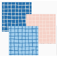 Bluebird Dual Sided Cloths Set of 3